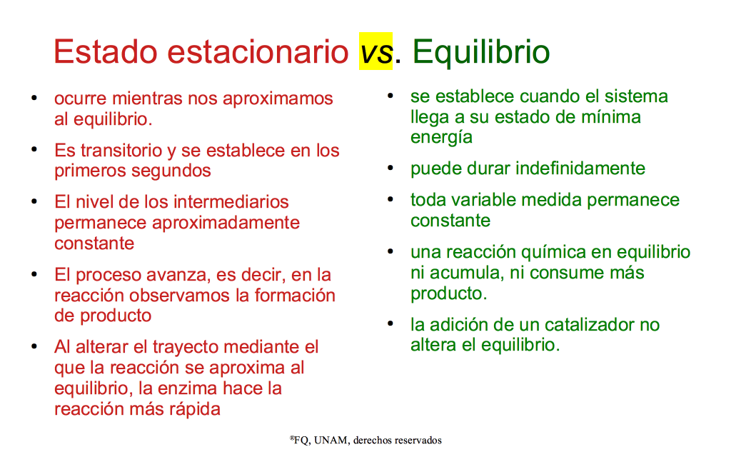 Comparación Entre Estado Estacionario Y Equilibrio