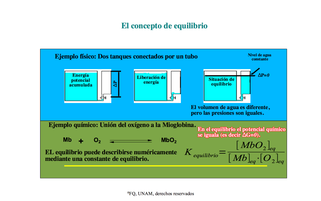 Concepto De Equilibrio