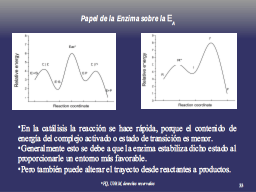 E. de activación y efecto enzimático