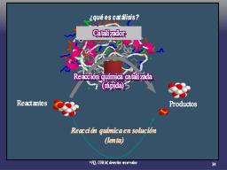 Dualidad Proteina-Catalizador