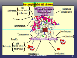 Rxn. Química vs. Proteína