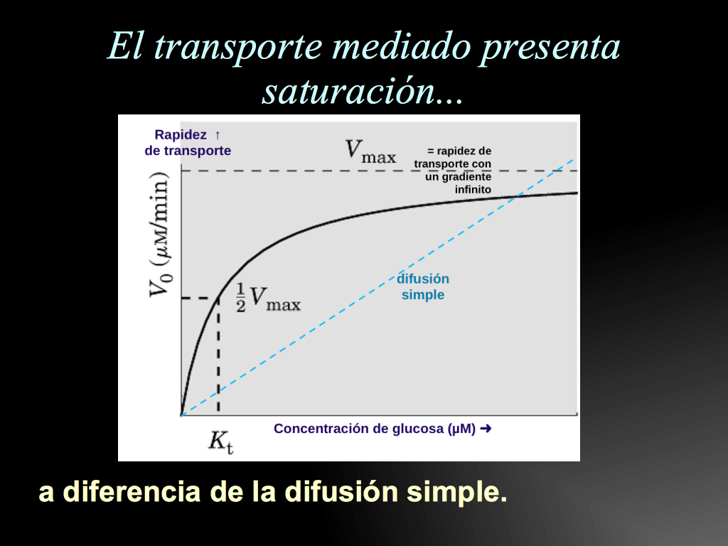 Cin Tica De Un Transportador