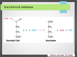 Succinil-CoA sintetasa, reacción