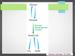 PDH entre glucólisis y ciclo de Krebs