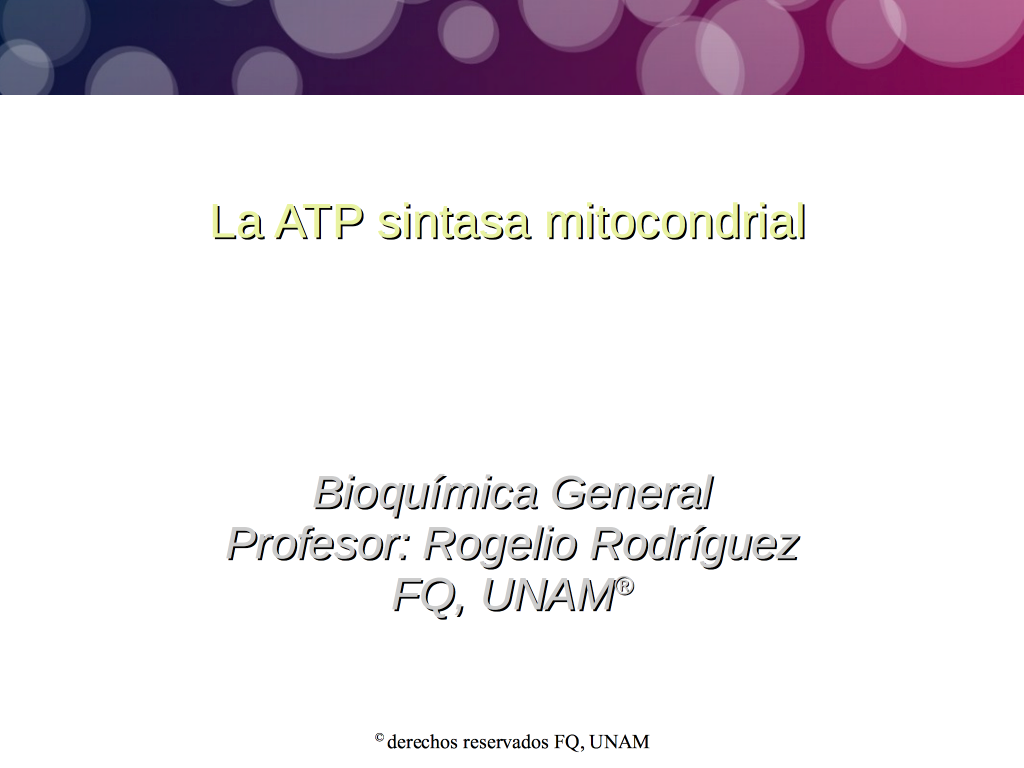 La Atp Sintasa Mitocondrial