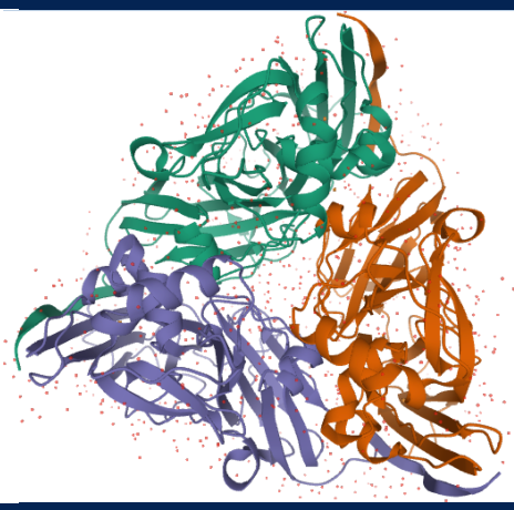 pdb:1MZZ:nitrate reductase