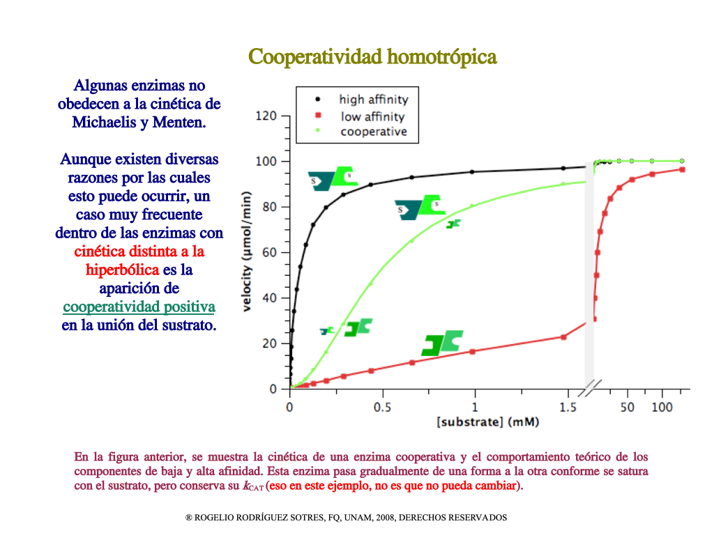 El modelo secuencial KNF